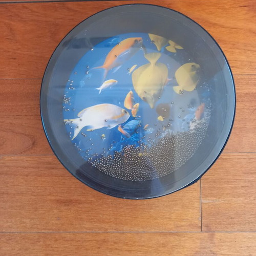 Sea sound used with beads, 25 cm diameter