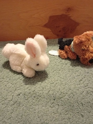 Plush dog and rabbit toys used, small set of 2