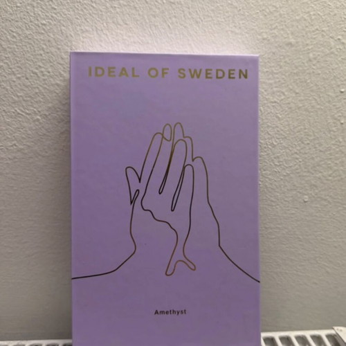 Ideal of Sweden iPhone 12 Pro Max horn case, new in box