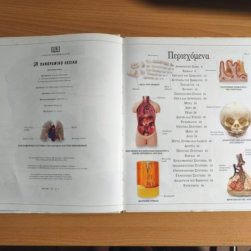 The Human Body panoramic dictionary used, Greek language