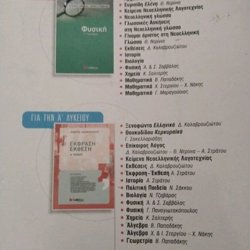 Gymnasium Essay Book like new