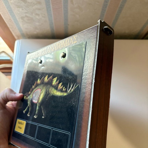 Dinosaur anatomy table used