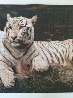 White tiger puzzle like new, 500 pieces, 34 x 48 cm