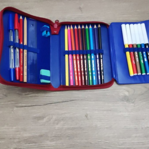 102 Dalmatians pencil case, school supplies
