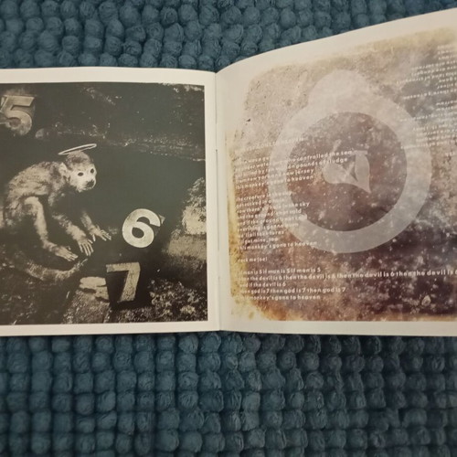 Pixies Doolittle book and live DVD like new, rock