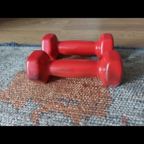 Vinyl dumbbell set used 1kg