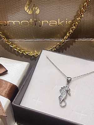 Silver 925 seahorse pendant with chain