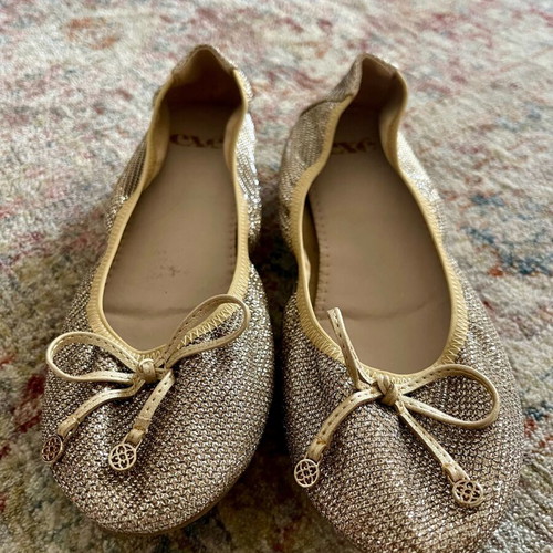 Exe ballerinas size 40 gold-silver like new
