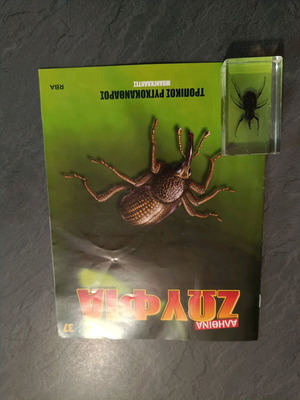 Real Insects Issue 37 used