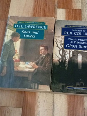 Foreign language books used, pack of 5, English