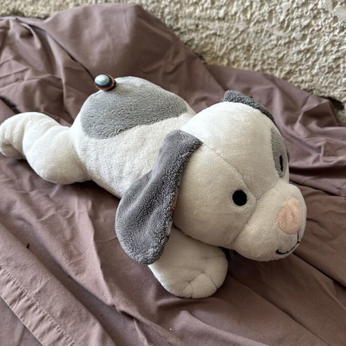 Zazu Dex plush dog with white noise device like new