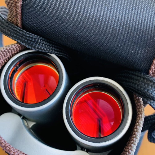 Nikula 8x21 Compact Binoculars new with case