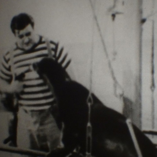 Super 8mm b/w sound 200ft Best of Abbot & Costello Bloopers used