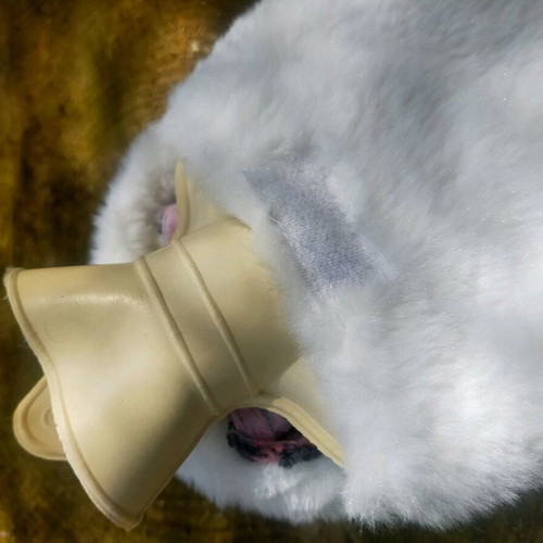 Winter hat used with fluffy pom-poms
