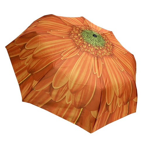 Trend automatic women's rain umbrella new