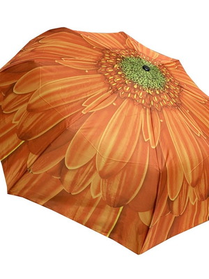 Trend automatic women's rain umbrella new