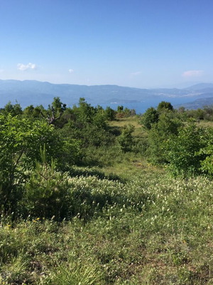 Αγροτεμάχιο 10 στρεμμάτων οικοδομήσιμο στις Καρυές Λοκρίδος