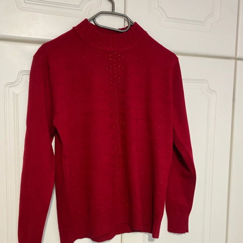 Red pullover turtleneck with details