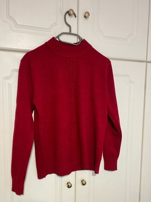 Red pullover turtleneck with details
