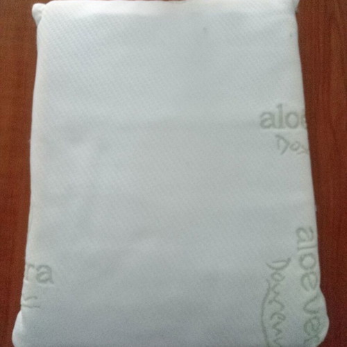 Children's anatomical aloe vera pillow new
