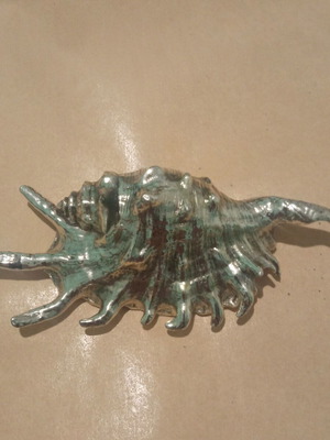 Christofle Silver Plated Shell Shaped Paperweight used