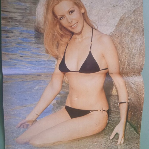 Fantazio magazine used condition