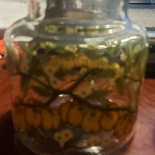 Set of 2 large glass jars with lids like new