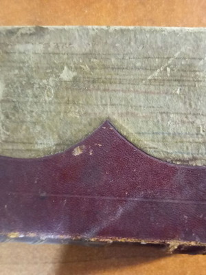 The Cunning Delilah 1923 used, collective work