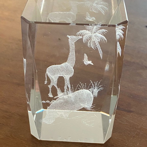 3D decorative with animals like new
