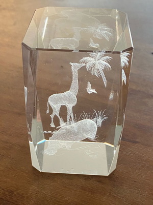 3D decorative with animals like new