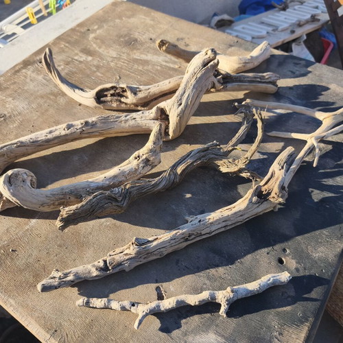 Driftwood for artists, pack of about 80 pieces, natural