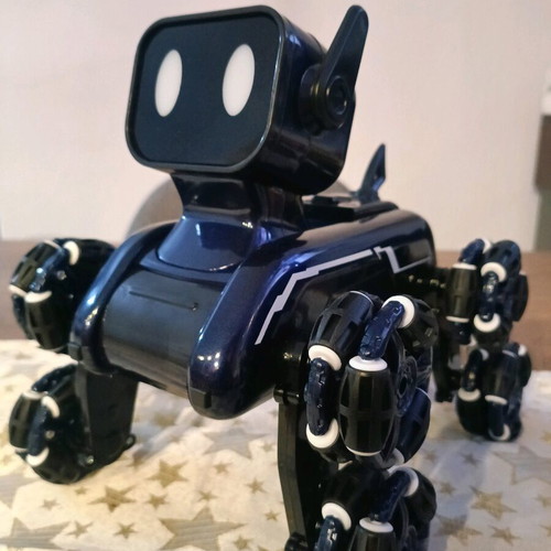 Robot Dog New Remote Control Space Toy 2025