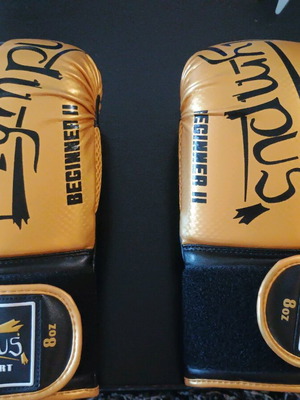 Olympus Beginner II boxing gloves like new