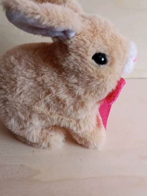 Electronic pet like new with box