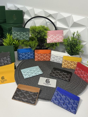 Goyard Cardholder brand new