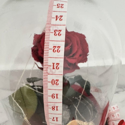 Preserved red rose in glass dome used with LED lights