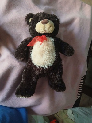 Brown teddy bear plush toy