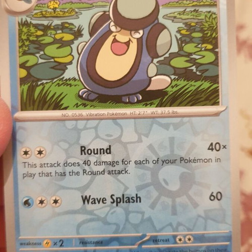 Water Holo Pokemon Cards new, pack with Carracosta, Tirtouga, Palpitoad
