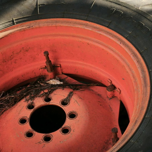 JCP rims with tires like new