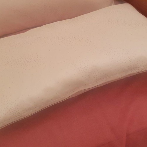 Pillows used with pillowcase 50cm x 30cm set