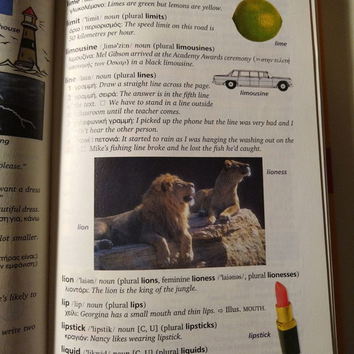 Junior illustrated dictionary for children used