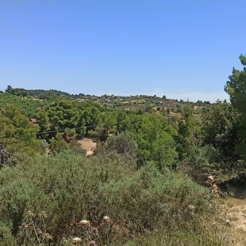 Buildable land plot 33,000 m² in Peloponnese with panoramic view