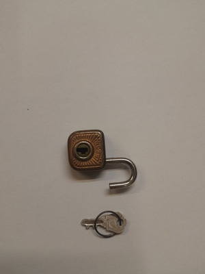 Mini Boss padlock used with 1 key