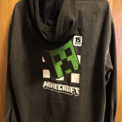 Spring jacket Zara with Minecraft logo used, detachable hood