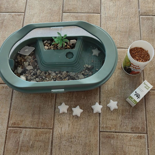 Turtle Aquarium Set like new with accessories