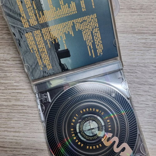 Skunk Anansie Post Orgasmic Chill CD like new, rock