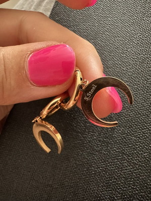 Stainless steel gold crescent moon earrings