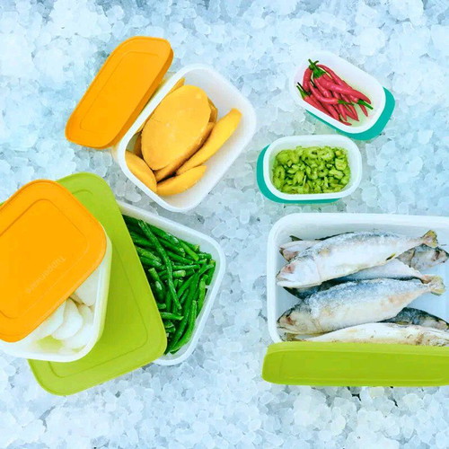 Tupperware set of 6 freezer containers brand new