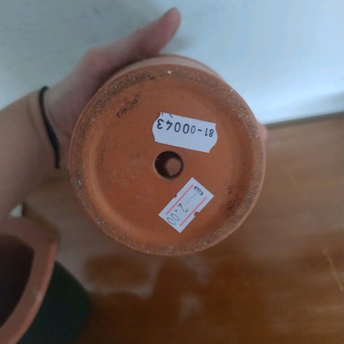 Small ceramic flowerpot used