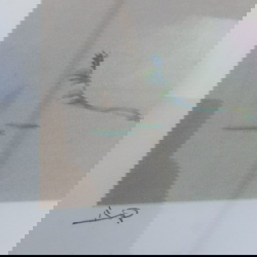 Рисунка М Макрулакис като нова